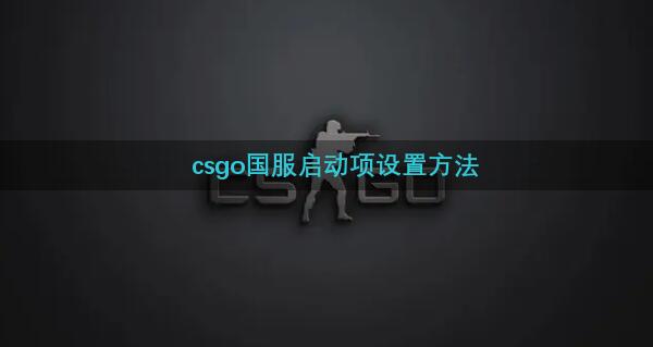 csgo国服启动项设置方法