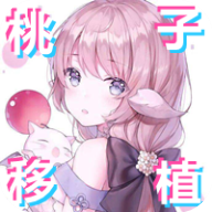 pixelbunny正版