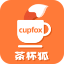 cupfox