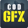 codmgfx汉化版