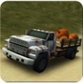 Dirt Road Trucker 3D