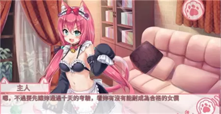 我是猫女仆喵2024最新版