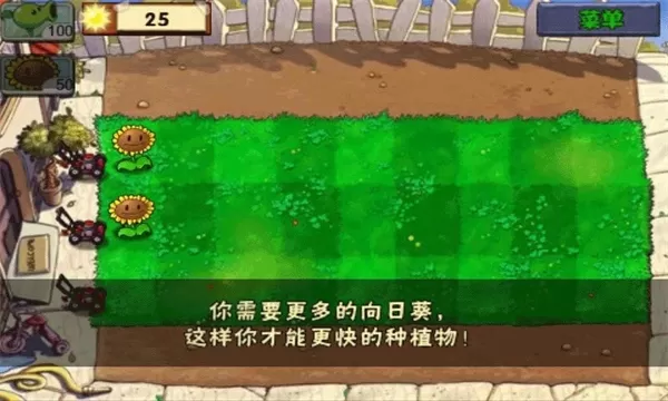 植物大战僵尸无尽版