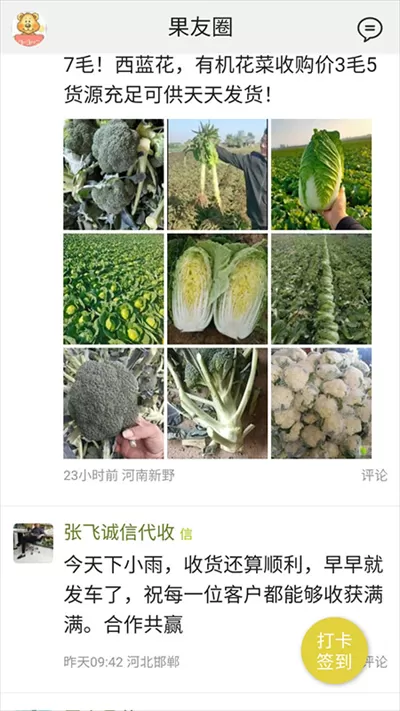 绿果网