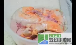 食之契约鮟鱇鱼肝 食之契约图鉴大全