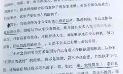 幸福工厂梅瑟尔球未完成有啥用