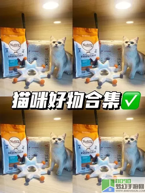 高校模拟器猫头套在哪？猫爪弹唱神器下载安装