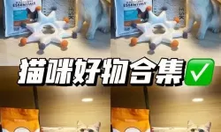 高校模拟器猫头套在哪？猫爪弹唱神器下载安装