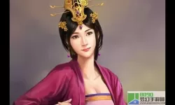 三国美人无限妃子