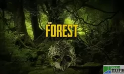 恐怖森林游戏1 恐怖森林游戏1：黑暗迷失