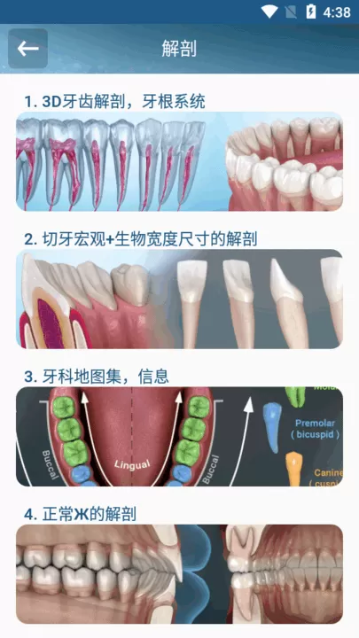 Dental Illustrations下载官方正版