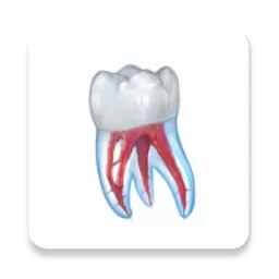Dental Illustrations下载官方正版