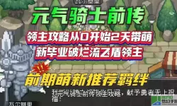 《元气骑士前传》飞盾系领主搭配详解