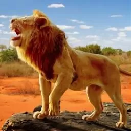 狮王狩猎生存官网手机版