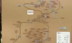 《阴阳师》松月樱花林35步通关路线图及成就指南