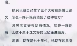 无尽之塔小说免费阅读