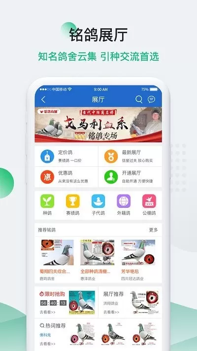 中国信鸽信息网app最新版