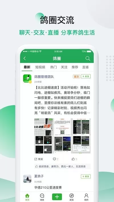 中国信鸽信息网app最新版