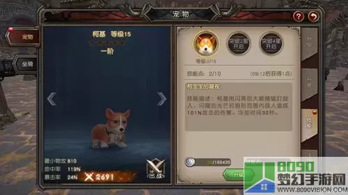 魔龙世界牧师宠物