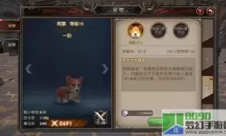 魔龙世界牧师宠物