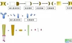 层叠消融是考察什么能力