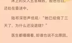 魔龙诀杨凡小说阅读免费全文