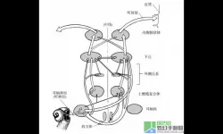 人体工厂听觉中枢通关攻略