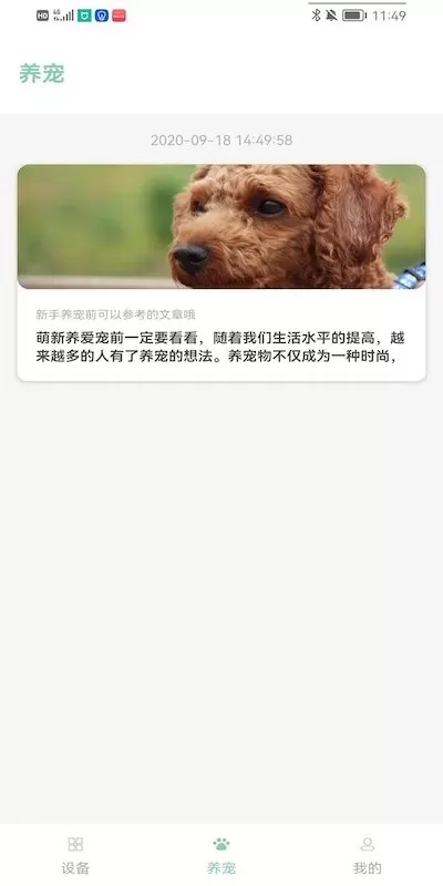 PETJC官网版app