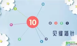 见缝插针代表什么数字