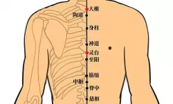 江湖风云录2任督二脉