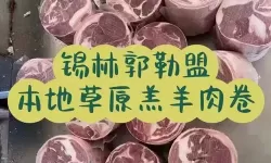 一剑江湖幻身卷怎么得