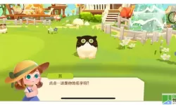 猫咪公寓2人物关系图解