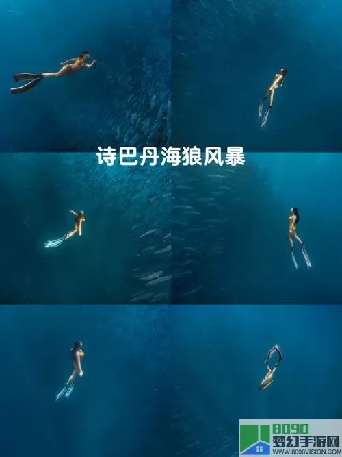 风暴之海海狼和海洋任务