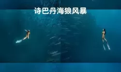 风暴之海海狼和海洋任务