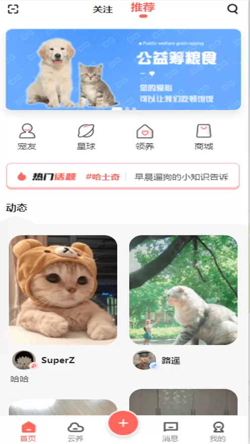 宠夫子官网版app