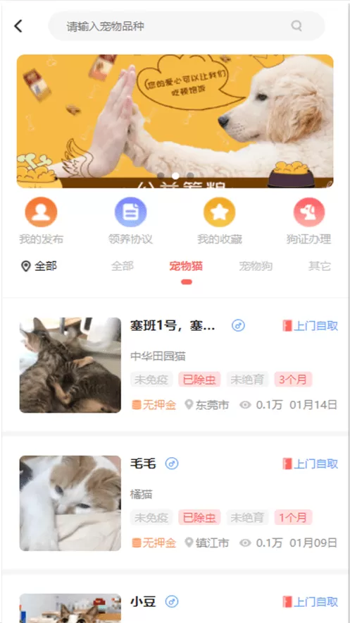 宠夫子官网版app