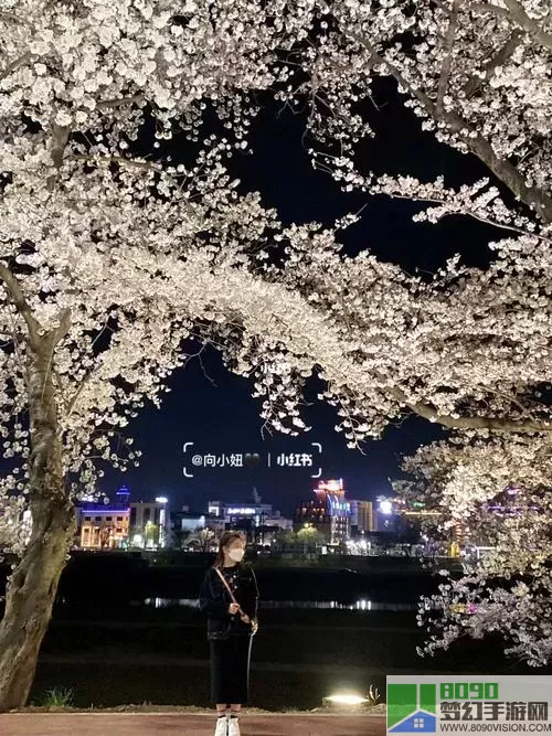 盛唐烟雨浪漫樱花季攻略