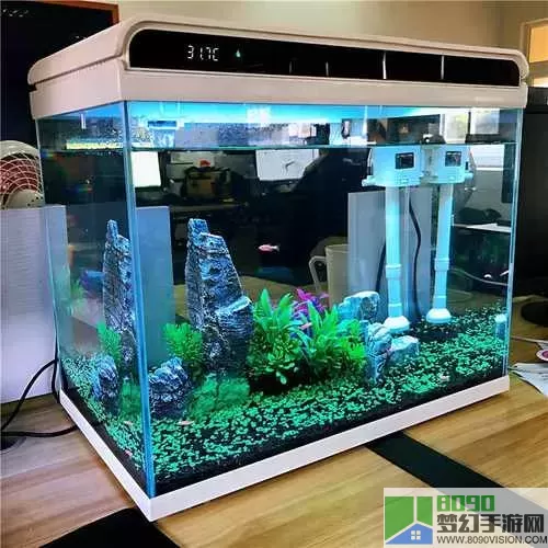 开心水族箱红木瓜资料