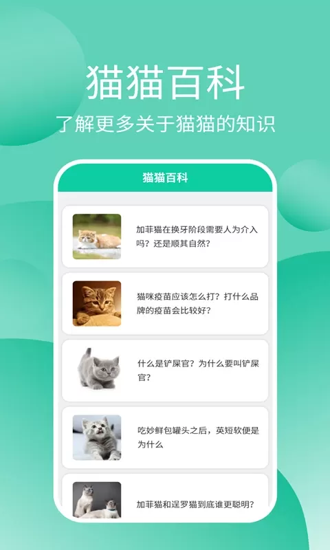 猫猫交流器下载新版