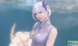 ff14哪个种族最好